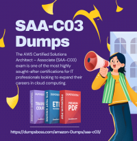 SAA-C03 Dumps to Help You Pass the Exam Efficiently