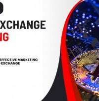 Bizvertex Provides Cost-Effective Marketing Services For Your Crypto Exchange